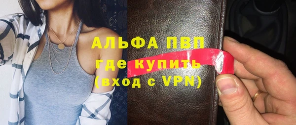 спиды Бородино